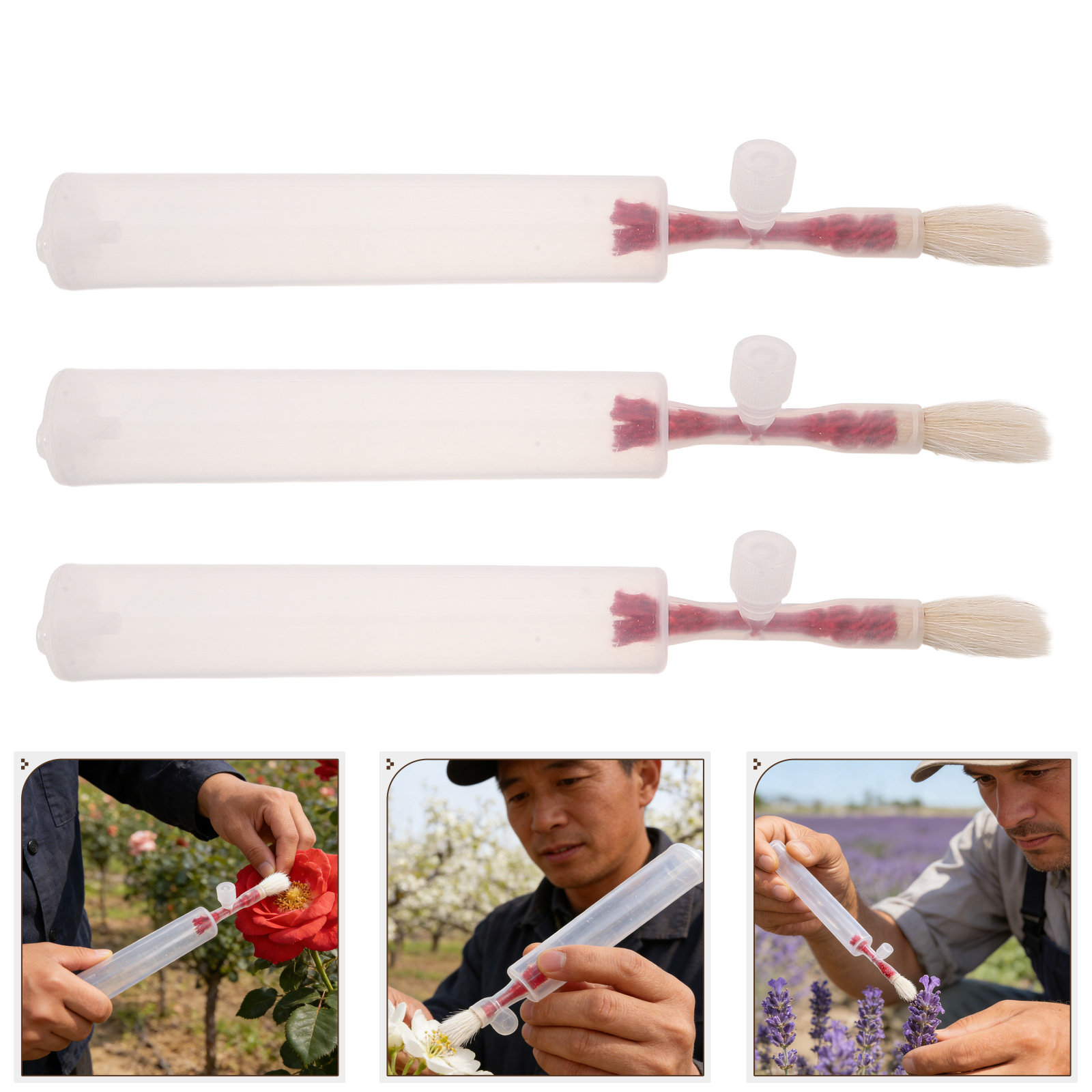 3Pcs Vegetable Pollinator Stic - Gardening Tools Vegetables ulasan dan harga