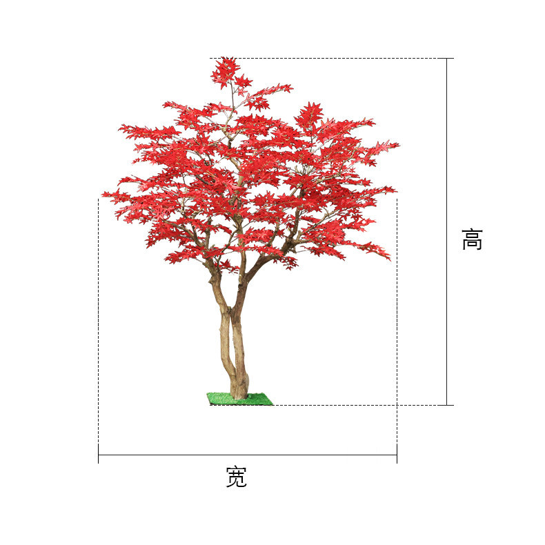 Red maple tree floor-to-ceilin - Gardening Hand Tools Japanese ulasan dan harga