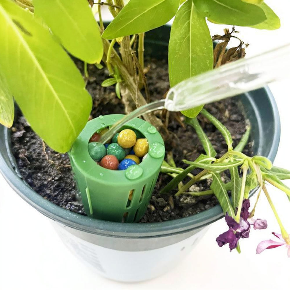 Fertilizer Box For Bonsai Plan - Gardening Tools Essential ulasan dan harga