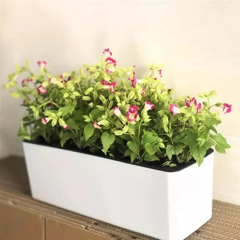 Rectangula Lazy Flower Pot Pot - Automatic Plant Waterer ulasan dan harga