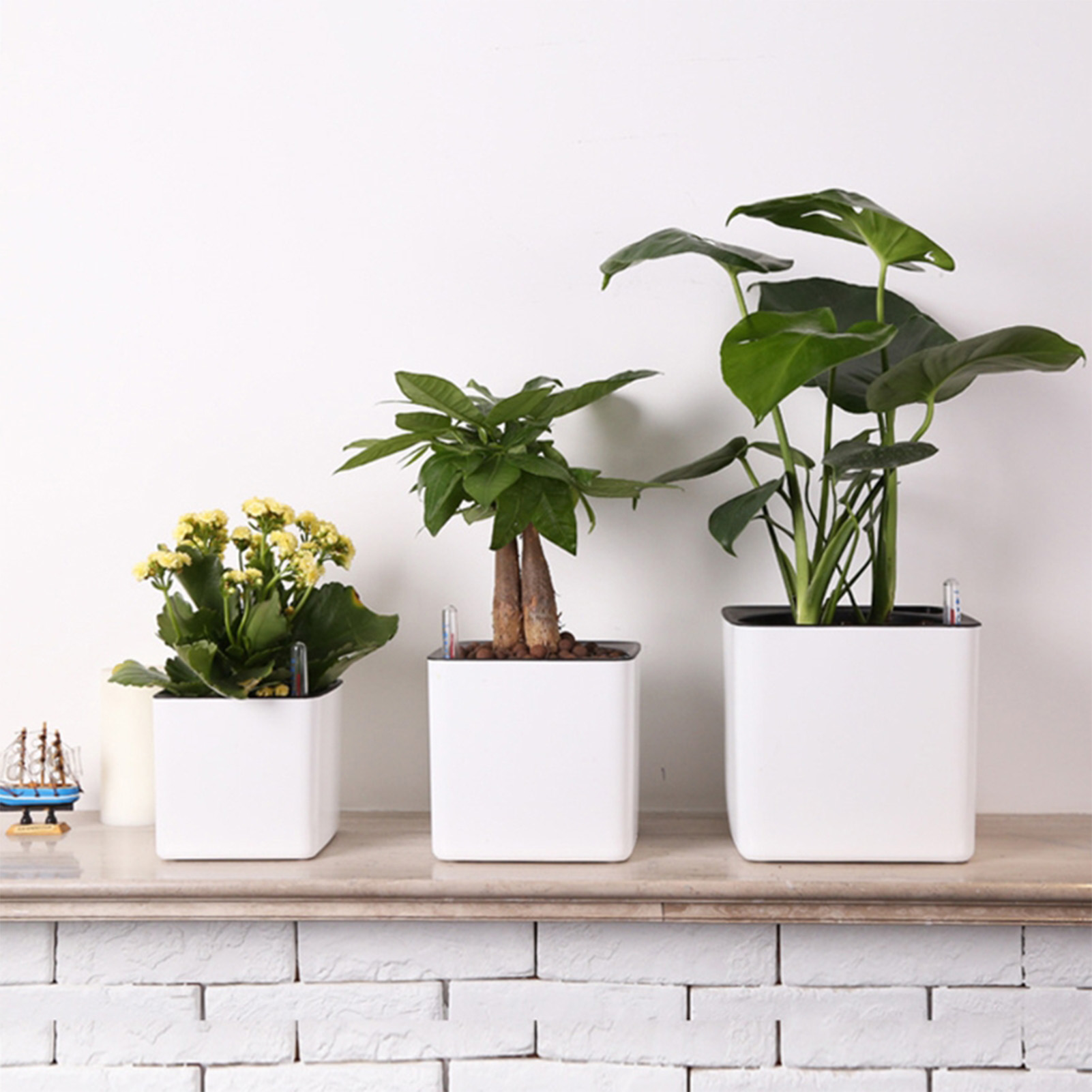 Self Watering Planter Self-wat - Self-Watering Planter ulasan dan harga