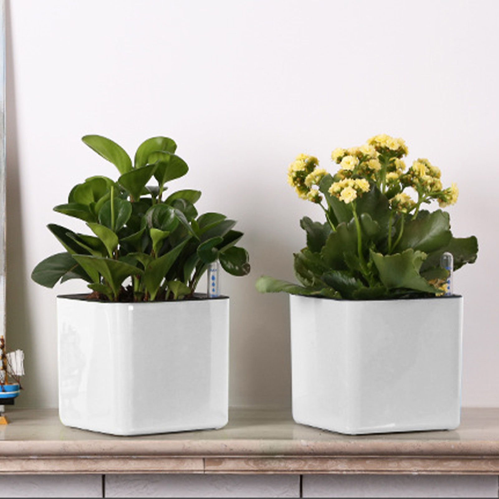 Self Watering Planter Self-wat - Self-Watering Planter ulasan dan harga