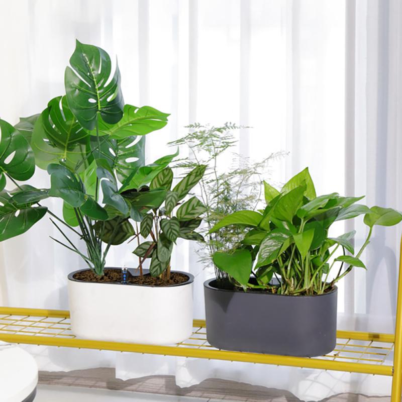 Indoor Plant With Indicator Wo - Automatic Plant Waterer ulasan dan harga